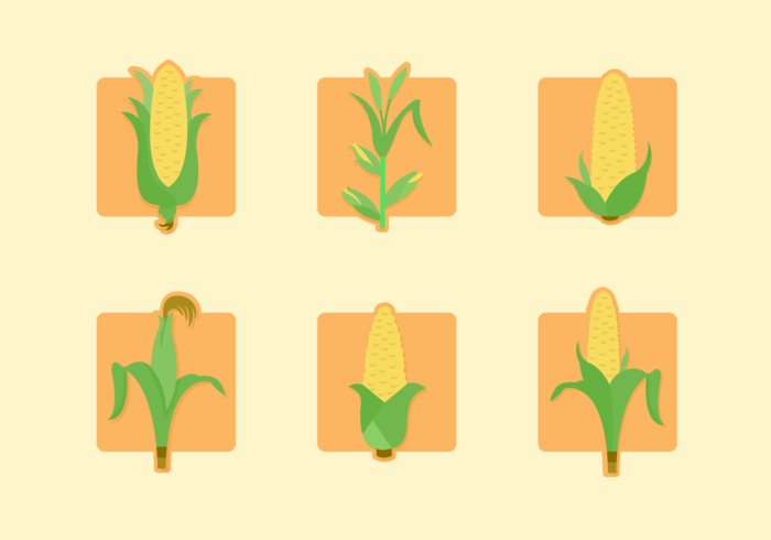 700x490 Corn Free Vector Art