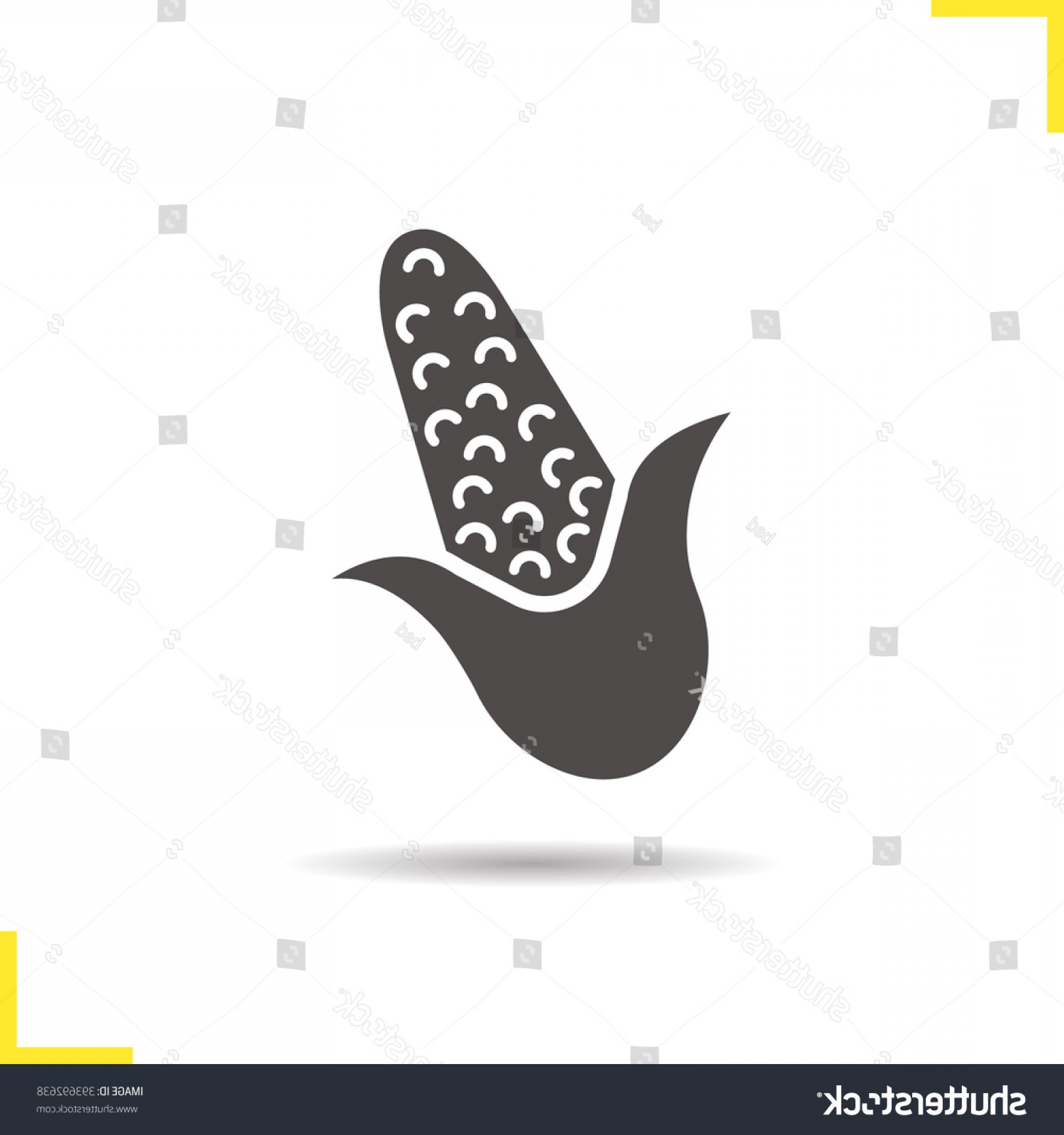 1800x1920 Corn Icon Maize Plant Silhouette Vector Soidergi
