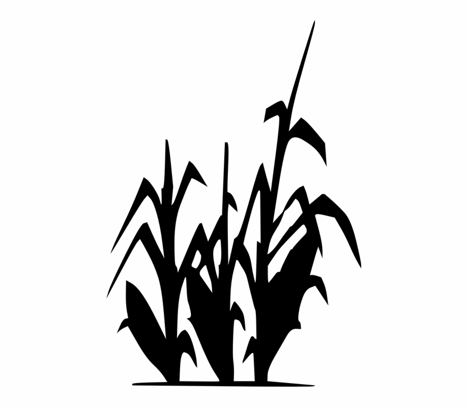 920x800 Korn Clipart Vector