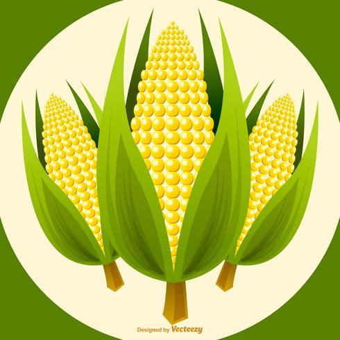 490x490 Vector Corn Stalk Illustration Free Graphics