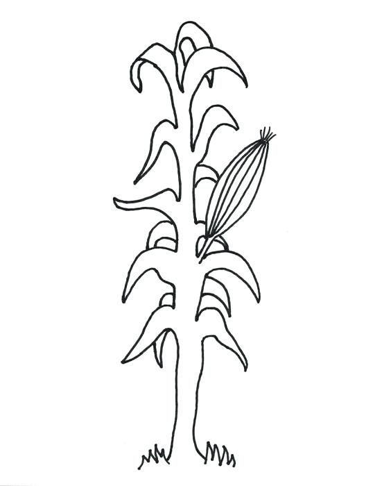 Corn Stalk Vector Lowgrav 541x700 Corn Stalk Vector Lowgrav