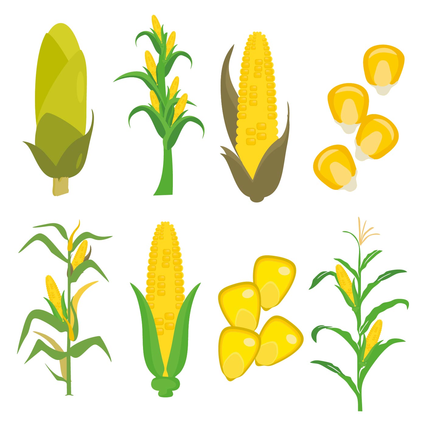 1400x1400 Corn Plant Free Vector Art