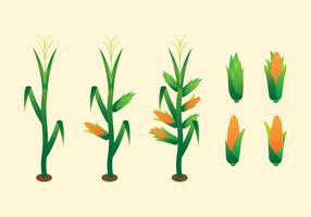 286x200 Corn Stalk Free Vector Art