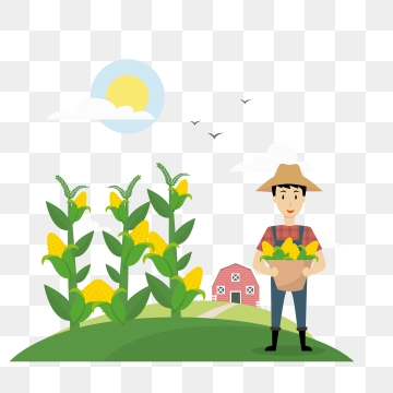 360x360 Corn Stalk Png Images Vector And Free Download