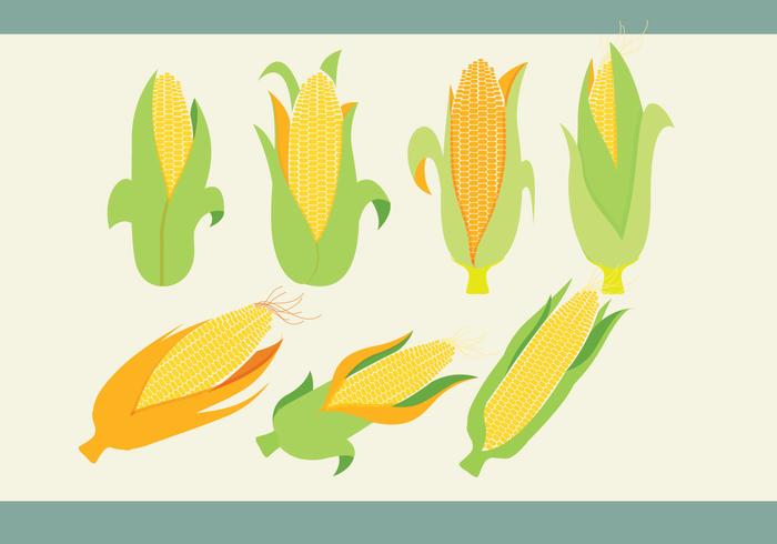 Corn Vector