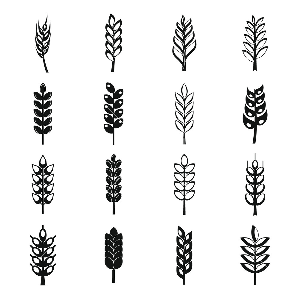 1000x1000 Ear Corn Icons Set Simple Illustration Of Ear Corn Vector