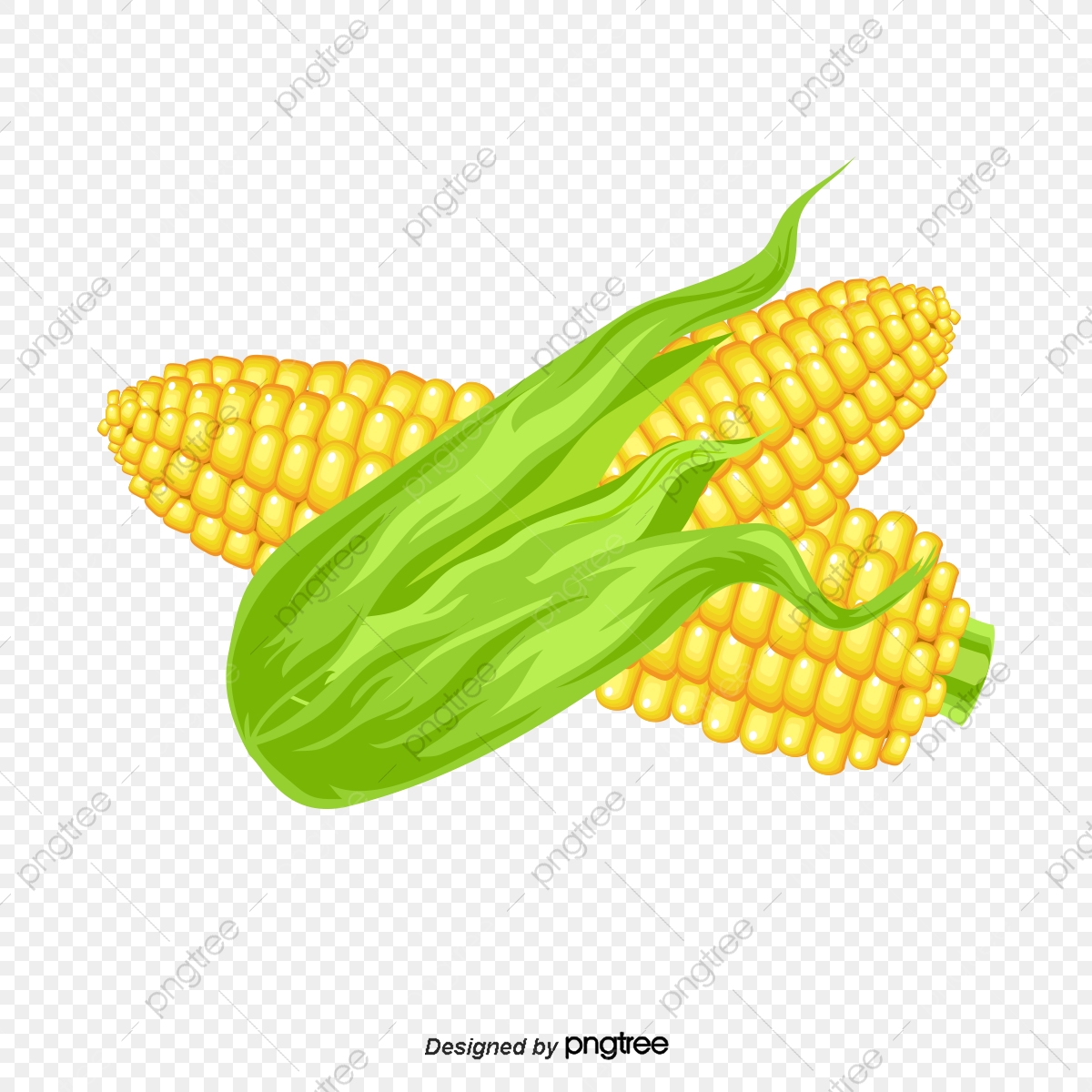 1200x1200 Vector Cartoon Corn, Corn, Cartoon Corn, Vector Corn Png