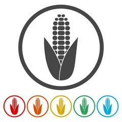 240x240 Corn Vector Illustration Photos, Royalty Free Images, Graphics