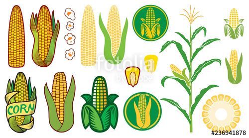 500x277 Corn Vector Icons Set