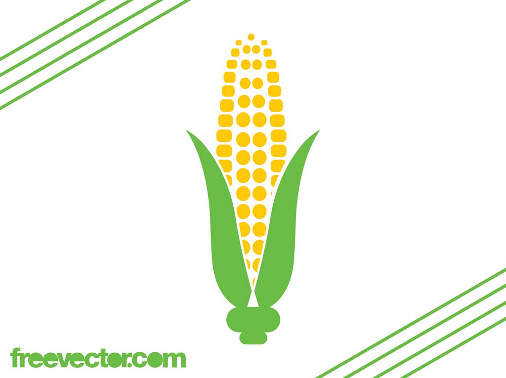 1024x765 Corn On The Cob Icon Vector Art Graphics