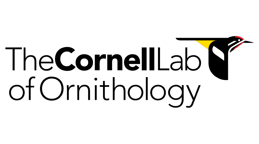 The Cornell Lab Of Ornithology Logo Vector 900x500 The Cornell Lab Of Ornithology Logo Vector