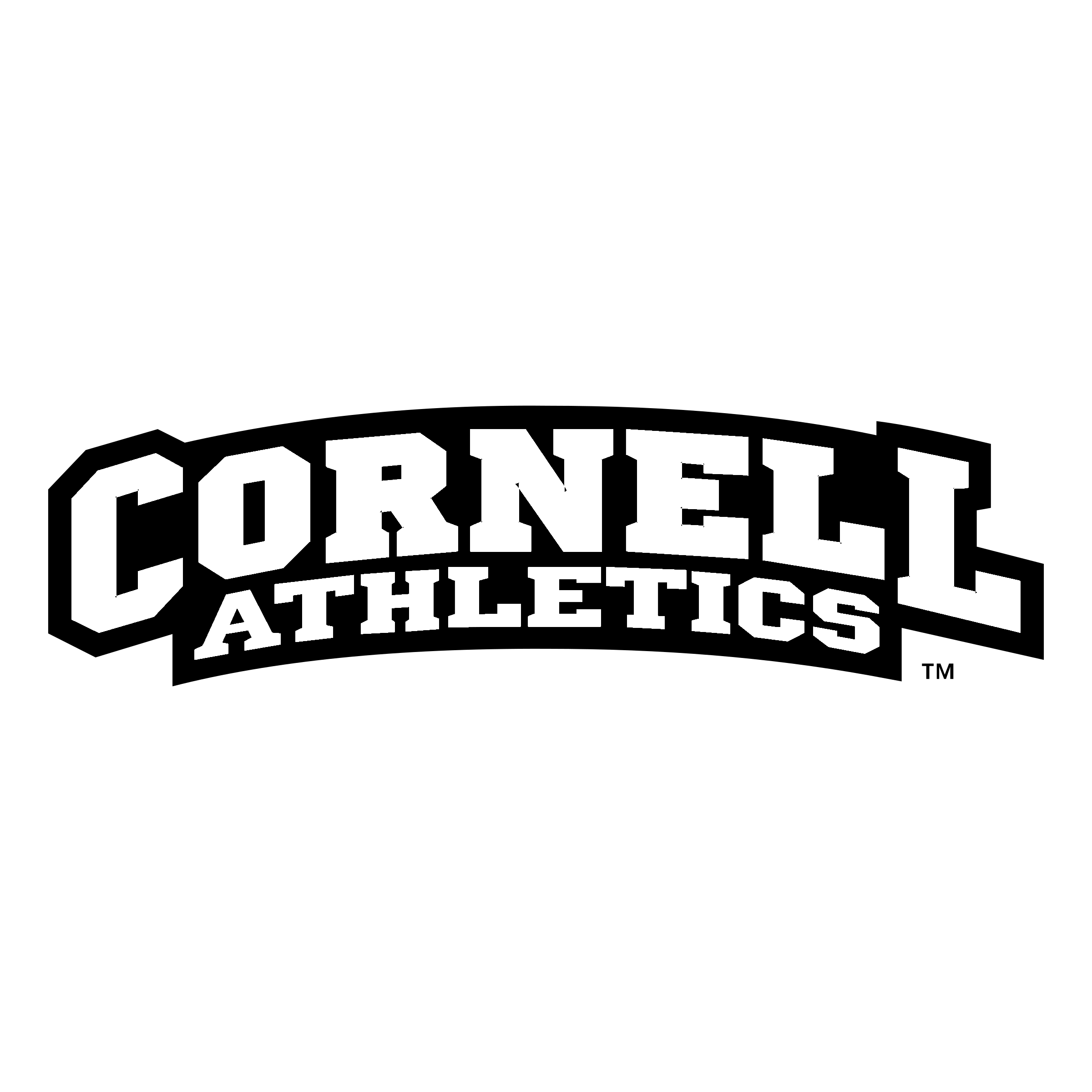 Cornell Big Red Logo 2400x2400 Cornell Big Red Logo