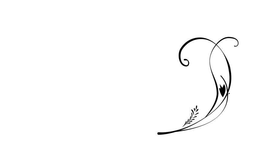 852x480 Flower Ornaments Vector Design Set Stock Footage Video