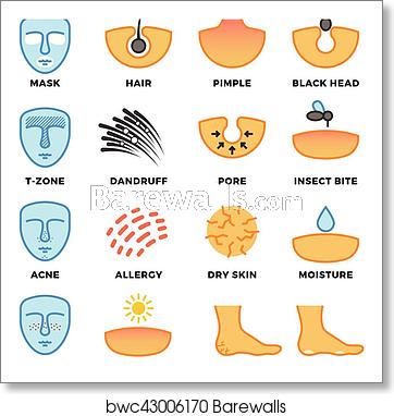 Skin Types, Care And Cosmetic Vector Icons, Art Print Barewalls 362x382 Skin Types, Care And Cosmetic Vector Icons, Art Print Barewalls