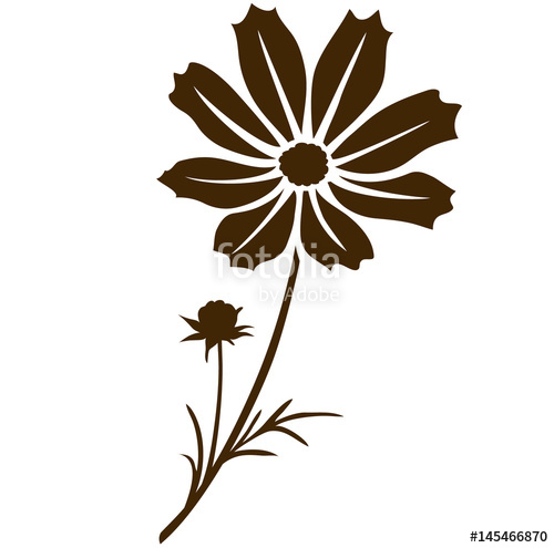 500x495 Cosmos Flower Silhouette Vector Illustration Decorative Flower