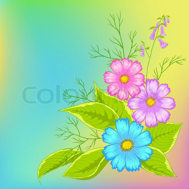 800x800 Flower Vector Background, Cosmos Stock Vector Colourbox