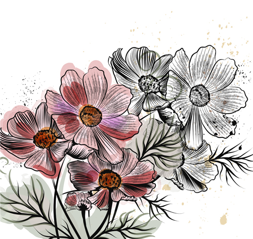 500x473 Hand Drawn Cosmos Flowers Vector Free Download