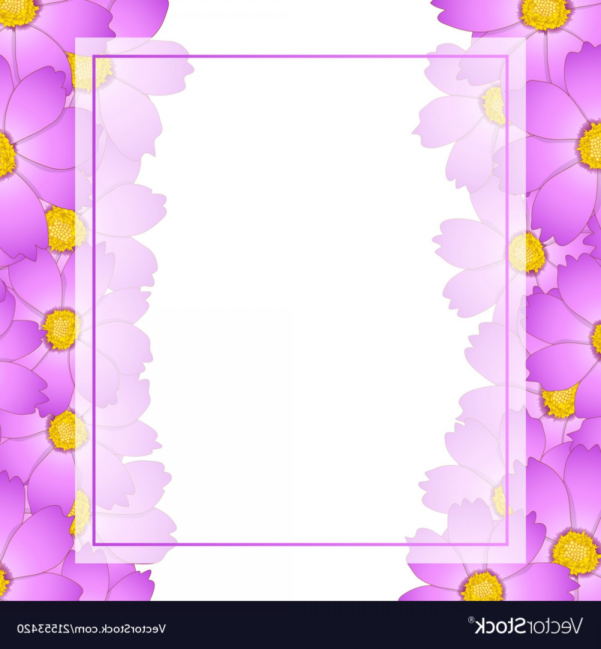 1200x1296 Pink Cosmos Flower Banner Card Border Vector Soidergi