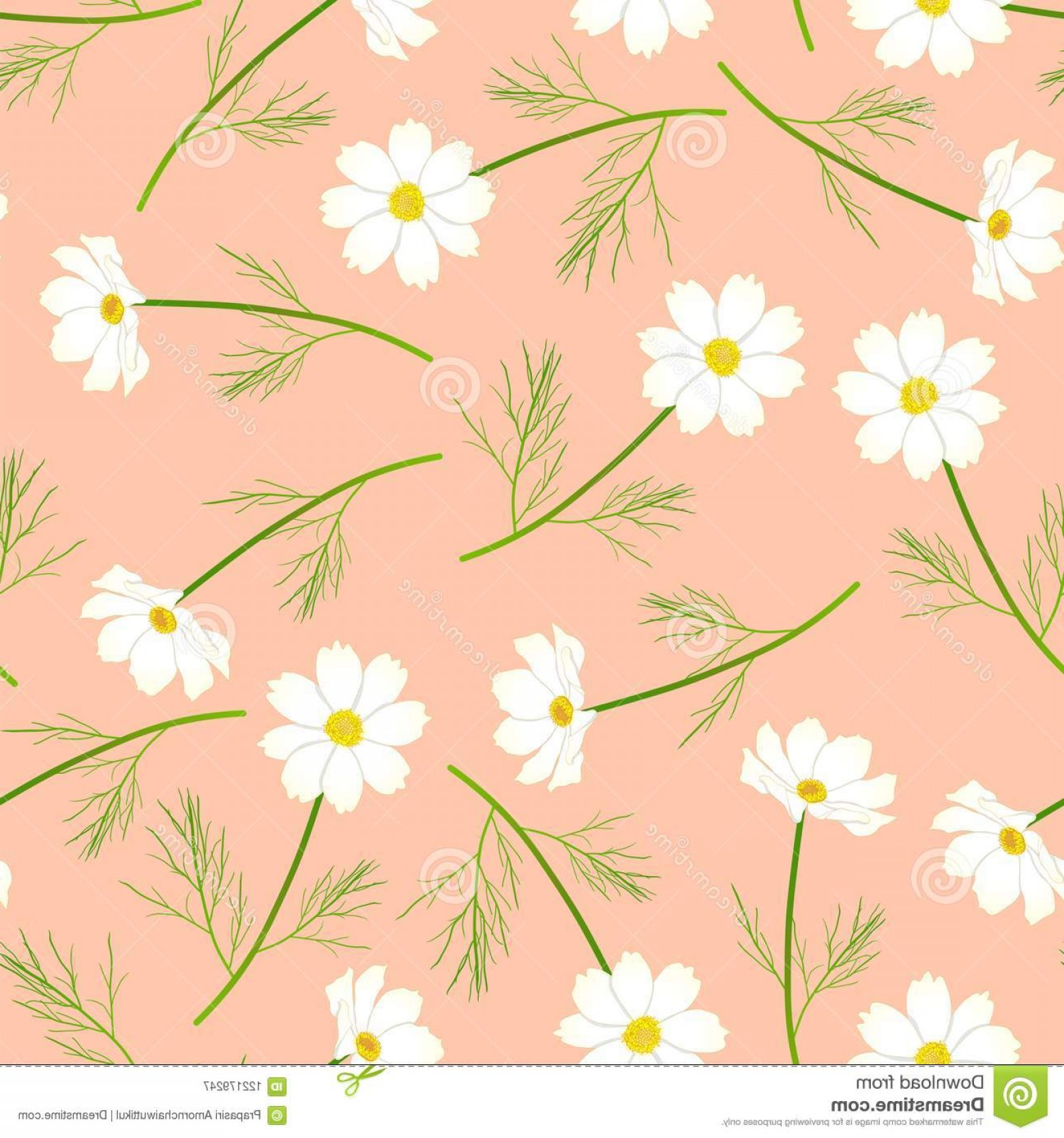 1560x1668 White Cosmos Flower Pink Salmon Background Vector Illustration