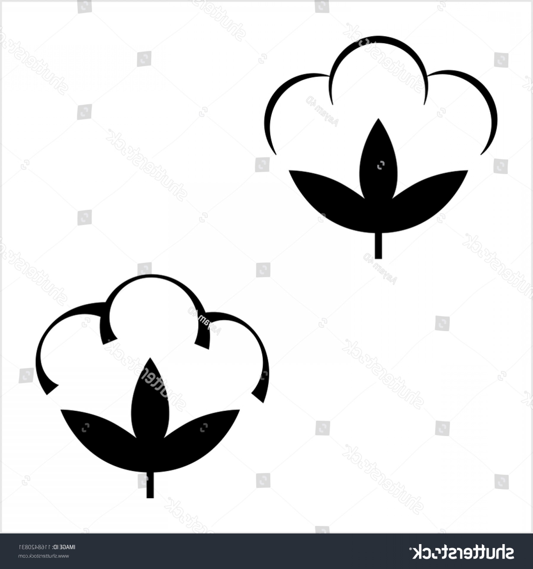 1800x1920 Cotton Vector Graphic Createmepink