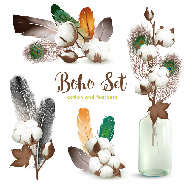 626x626 Cotton Bolls Feathers Boho Set Vector Free Download
