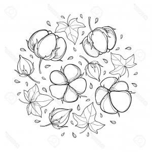 300x300 Photostock Vector Round Composition With Outline Cotton Boll