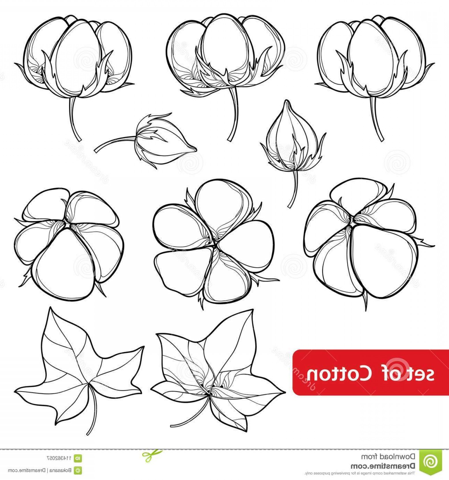 1560x1668 Vector Set Outline Cotton Boll Leaf Black Isolated White