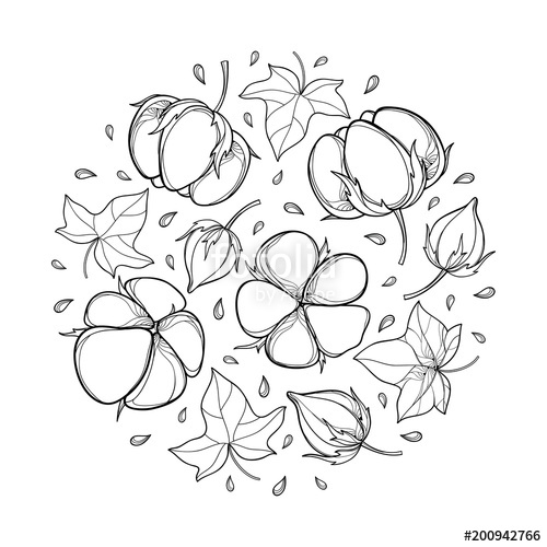 500x500 Vector Round Composition With Outline Cotton Boll, Leaf