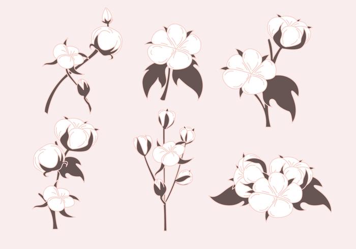 700x490 Cotton Plant Vectors