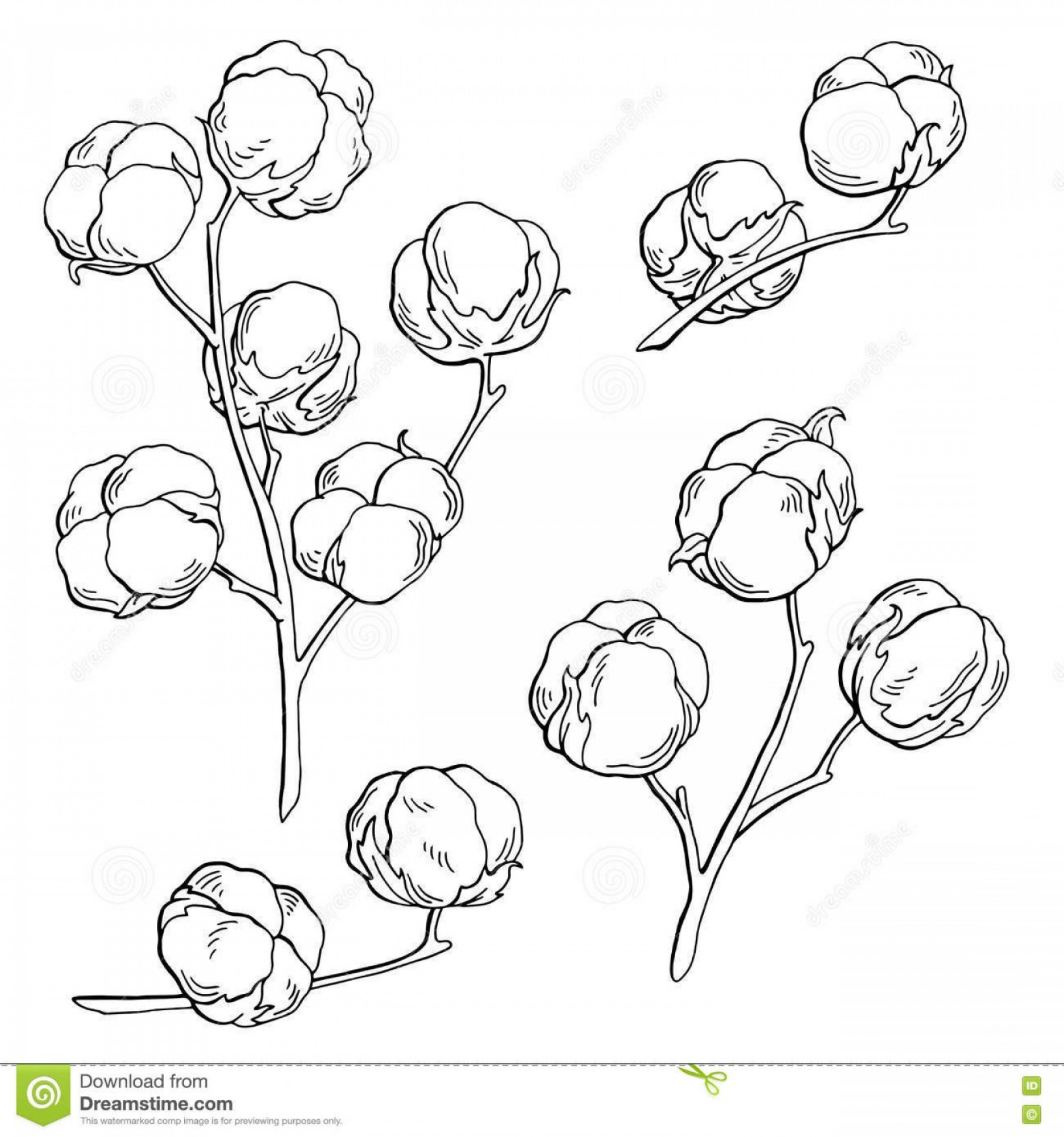 1872x2001 Cotton Vector Graphic Createmepink