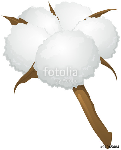 Cotton Plant Vector at Vectorified.com | Collection of Cotton Plant ...