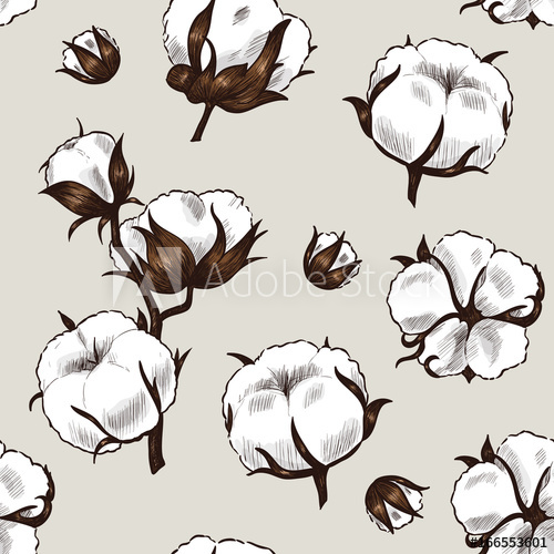 500x500 Cotton Plant Vector Seamless Pattern Vintage Style