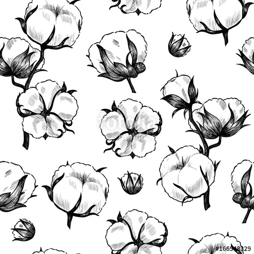 500x500 Cotton Plant Vector Seamless Pattern Vintage Style Stock Image