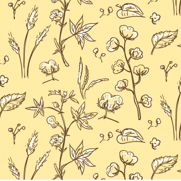 626x626 Cotton Plant Pattern Vector Free Download