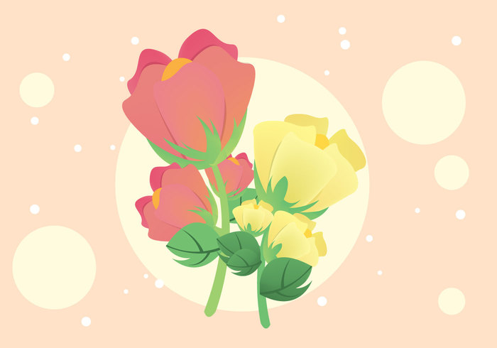 700x490 Free Cotton Plant Flower Illustration Vector Free Vectors Ui