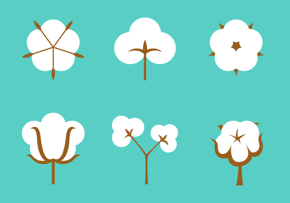 571x400 Free Cotton Plant Vector Cotton Plant, Plant Vector