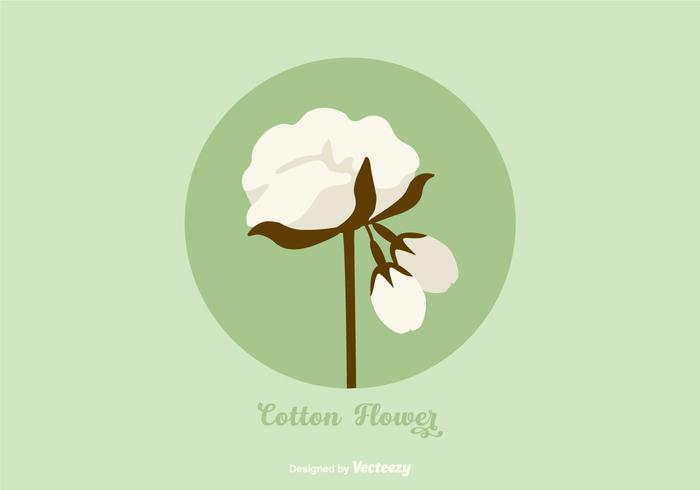 700x490 Cotton Plant Free Vector Art