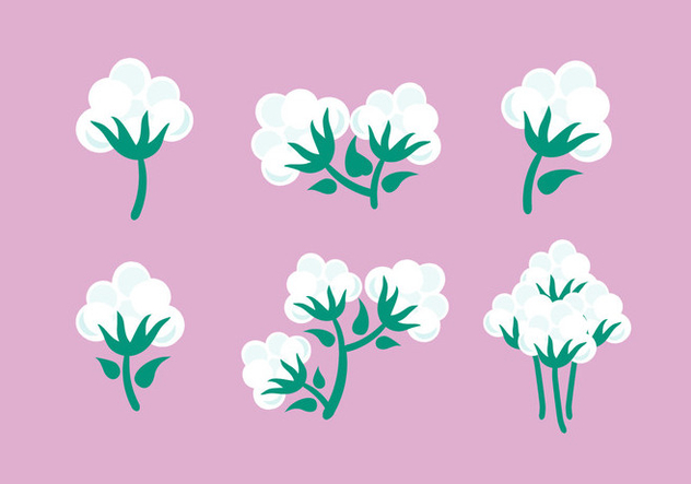 632x443 Cotton Plant Vector Free Vector Download Cannypic