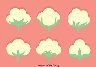 310x217 Cotton Vector Sets Free Graphics Uihere