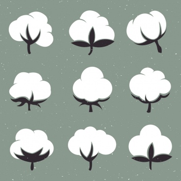 368x368 Cotton Flower Free Vector Download