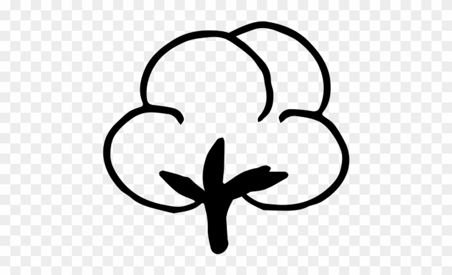 880x537 Transparent Download Cotton Vector Coloring