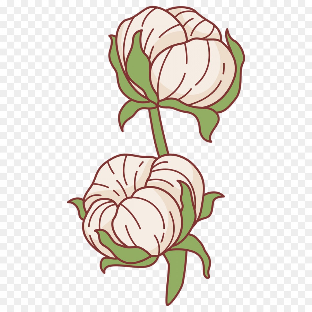 1080x1080 Png Floral Design Cotton Vector Graphics Image Createmepink