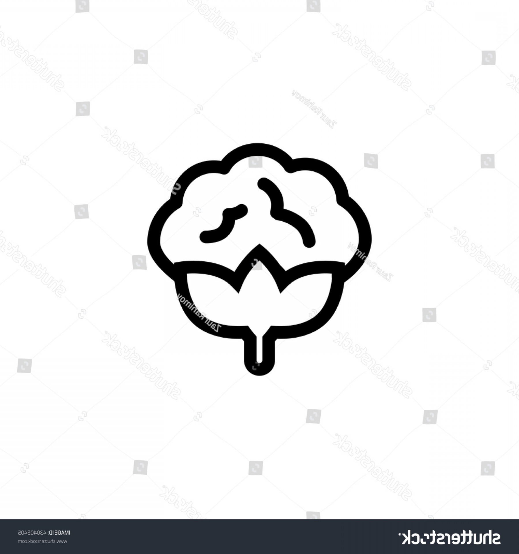 1800x1920 Black Outline Cotton Vector Icon On Handandbeak