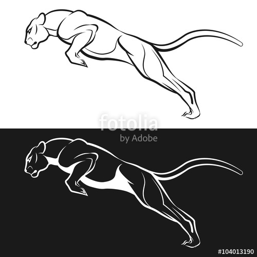 Cougar Logo Vector