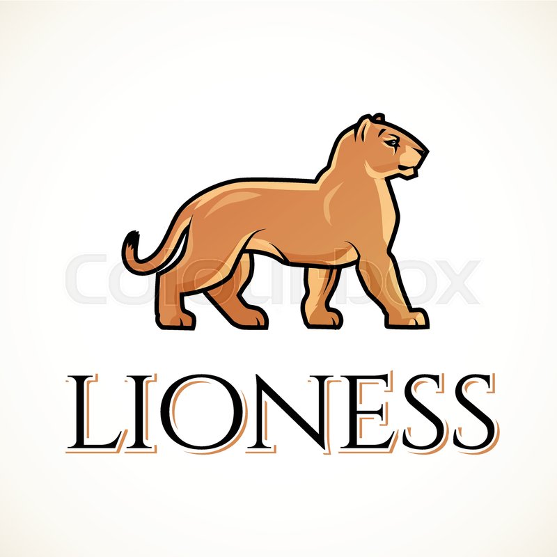 800x800 Lioness Logo Vector Lion Design Stock Vector Colourbox
