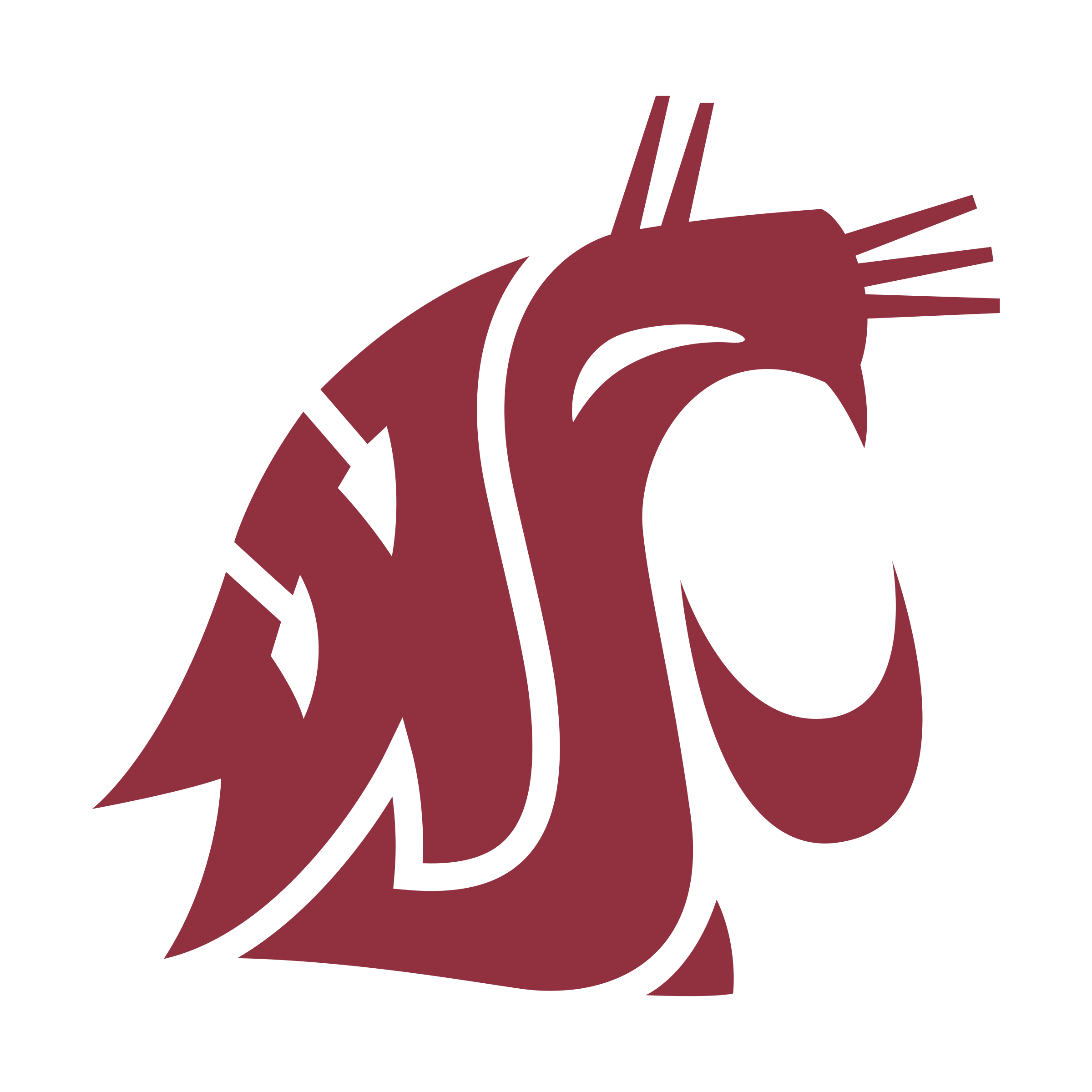 2400x2400 Washington State Cougars Logo Png Transparent Vector