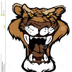 300x300 Cougar Logo Cougar Head Vector Illustration Gm Createmepink
