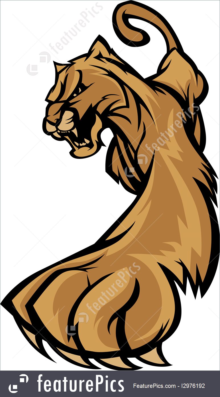 Cougar Mascot Vector at Vectorified.com | Collection of Cougar Mascot ...