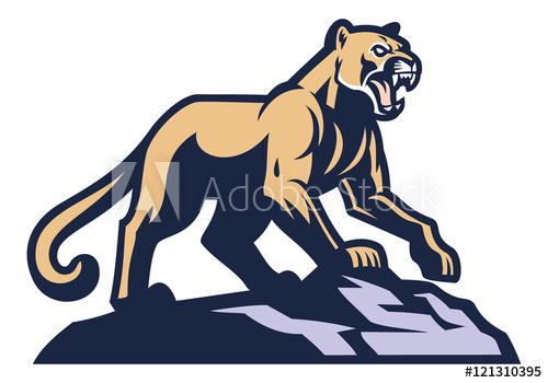 Cougar Mascot Standing On The Rock 500x350 Cougar Mascot Standing On The Rock