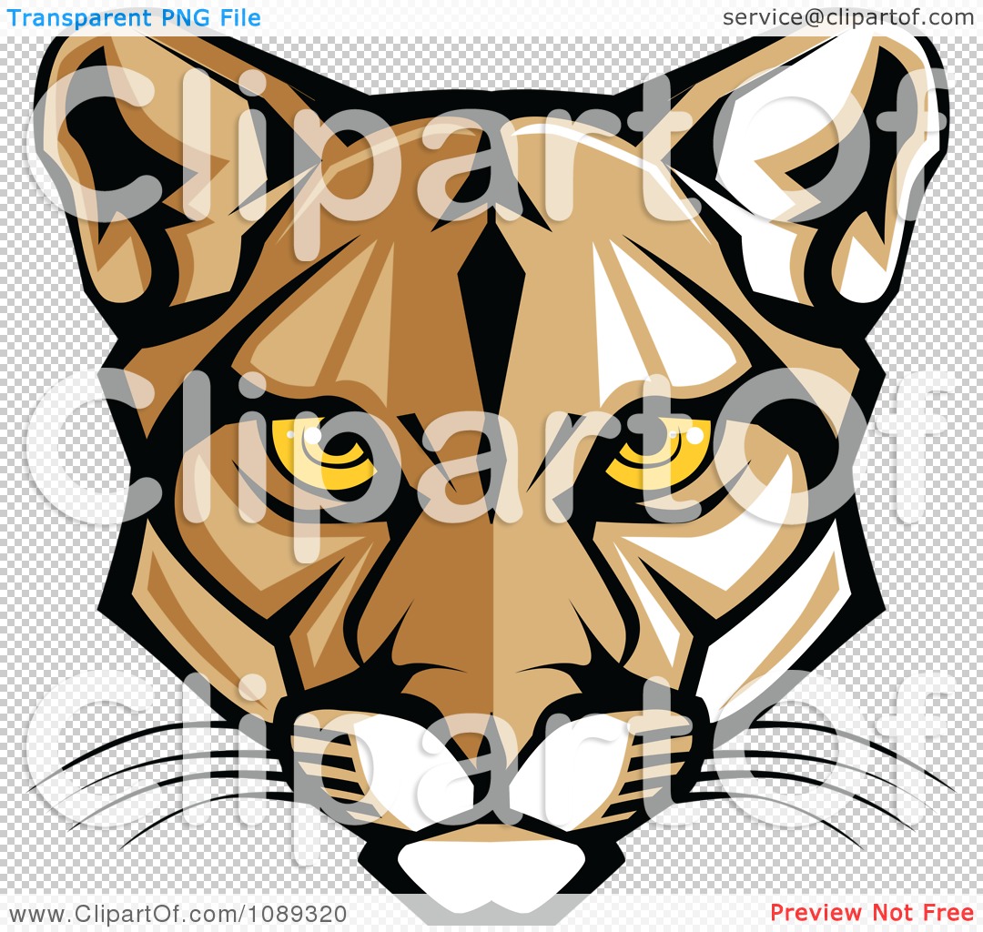 Clipart Cougar Mascot Face With Yellow Eyes 1080x1024 Clipart Cougar Mascot Face With Yellow Eyes